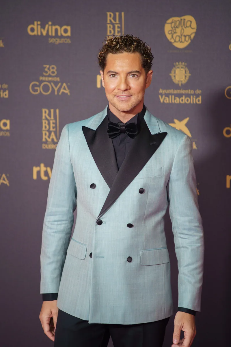 David Bisbal con chaqueta azul y pajarita en la alfombra roja de los Premios Goya